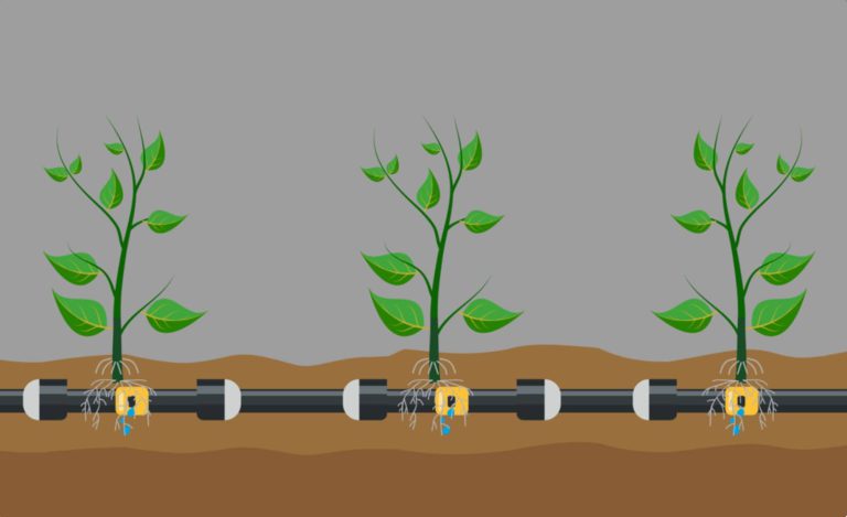 Read more about the article Newly developed irrigation systems with extra protection against root intrusion in organic agriculture, in collaboration with Metzer